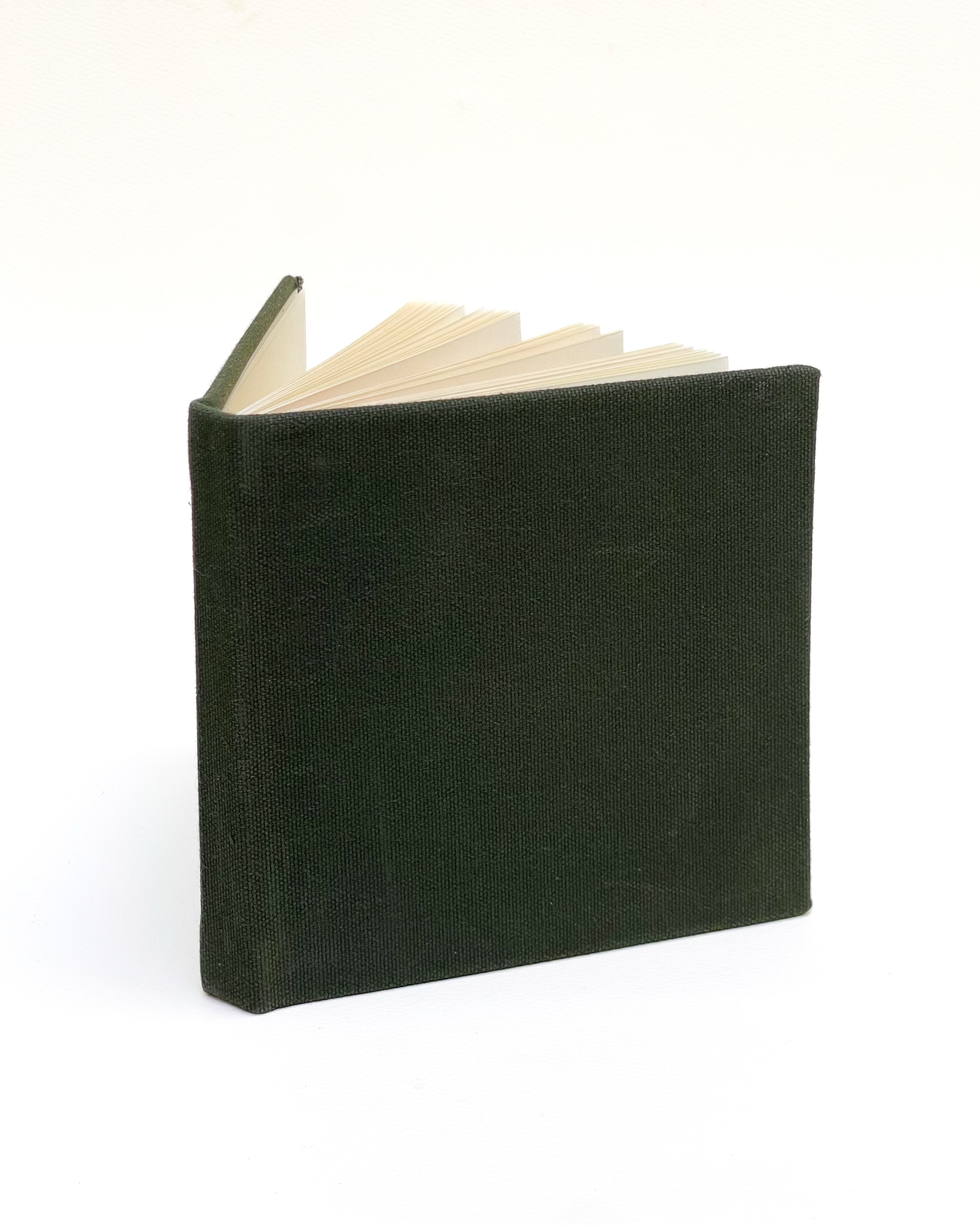 The Canvas Notebook