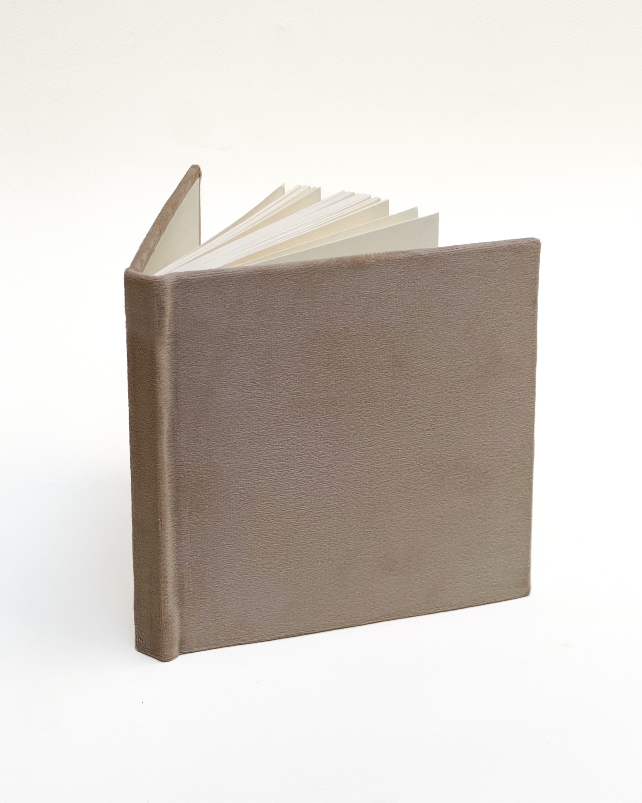 The Velvet Notebook