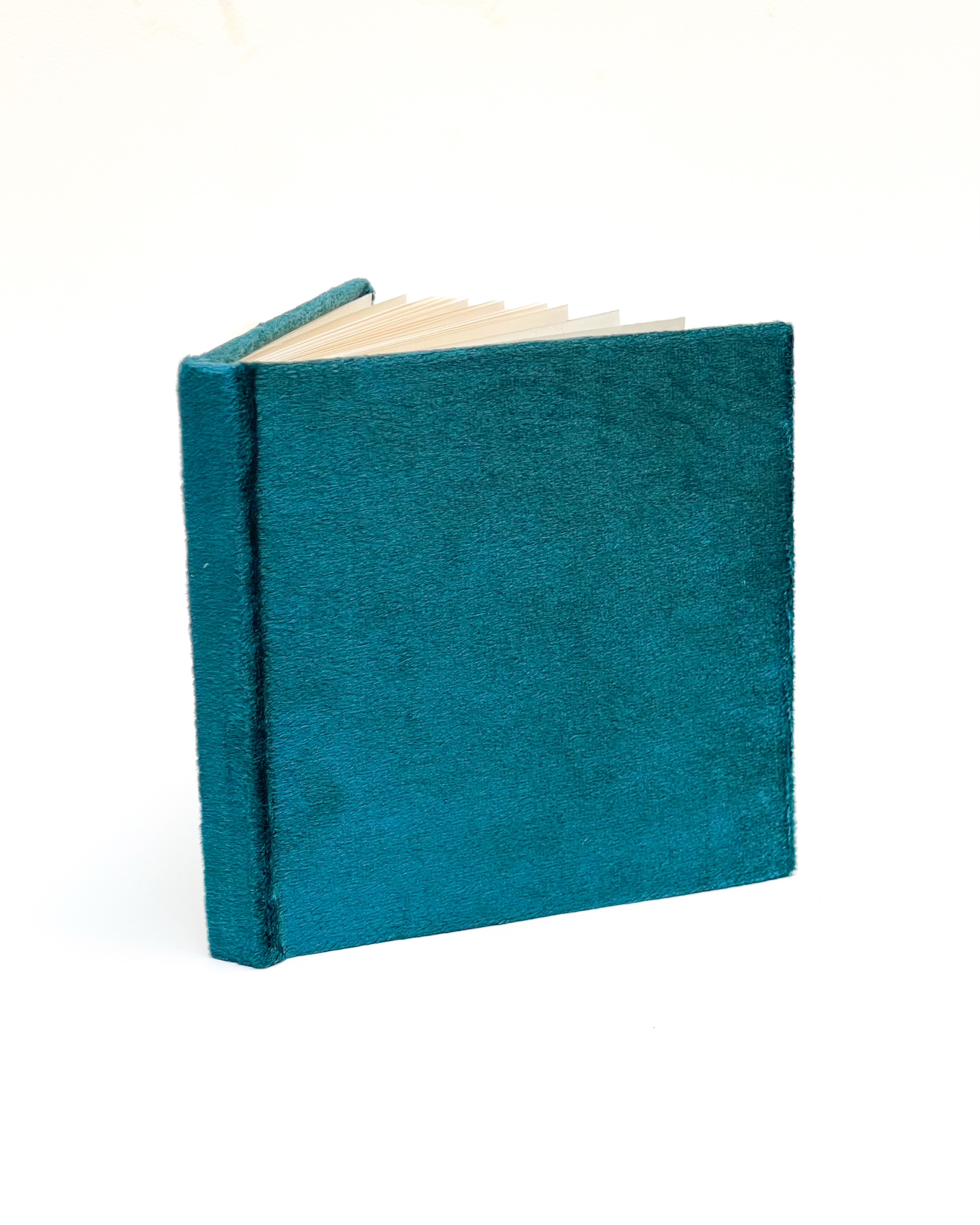The Velvet Notebook