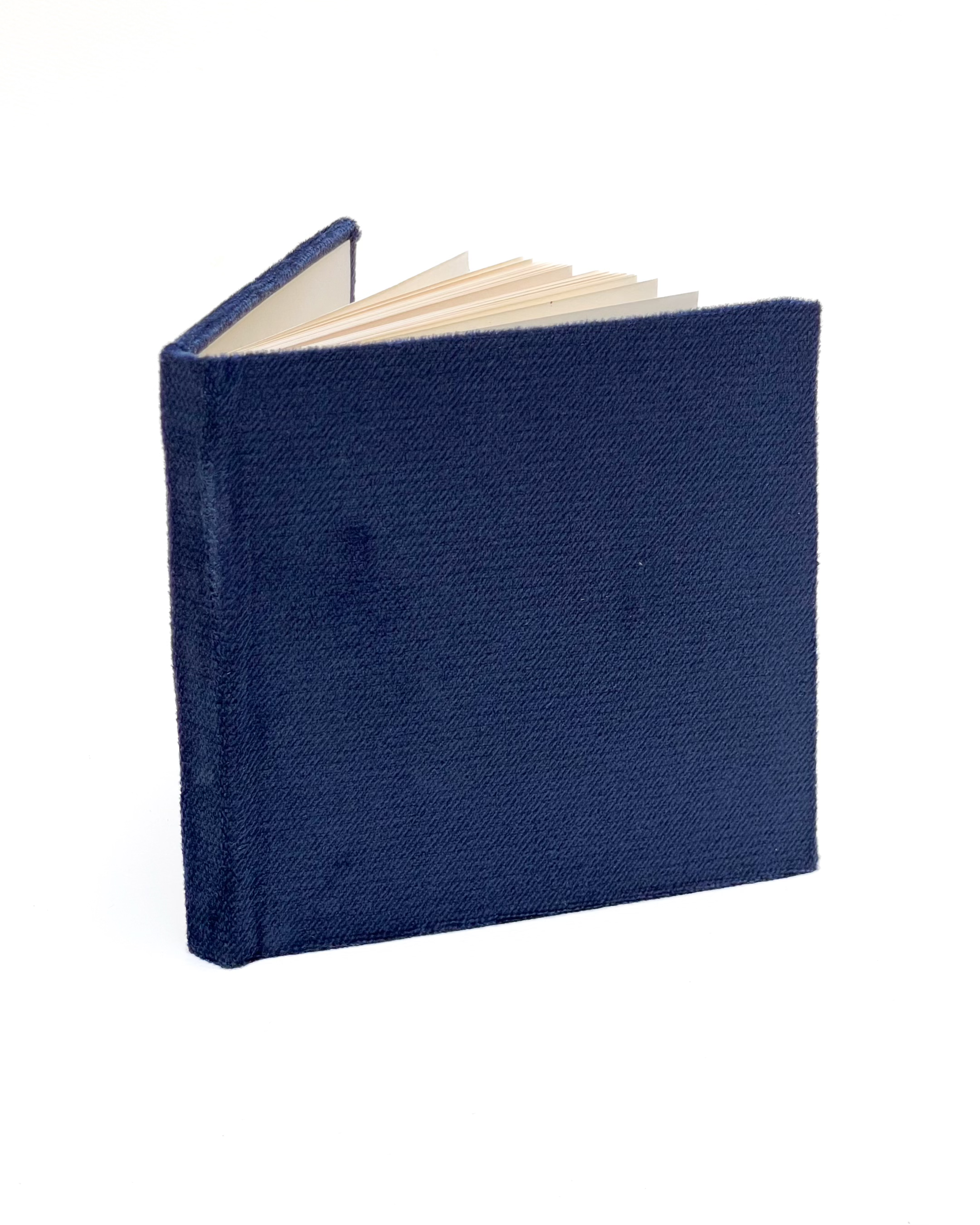 The Velvet Notebook