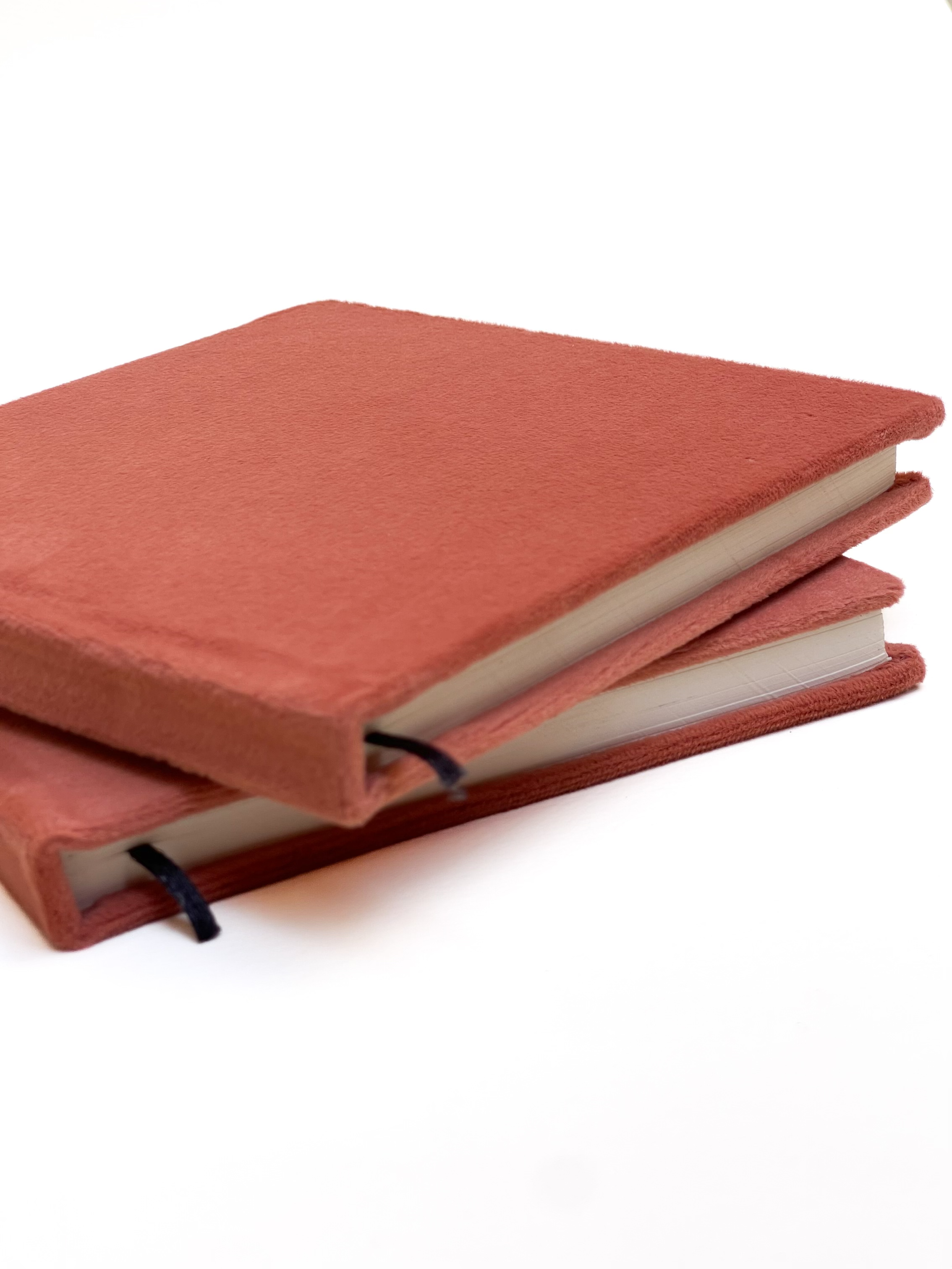 The Velvet Notebook