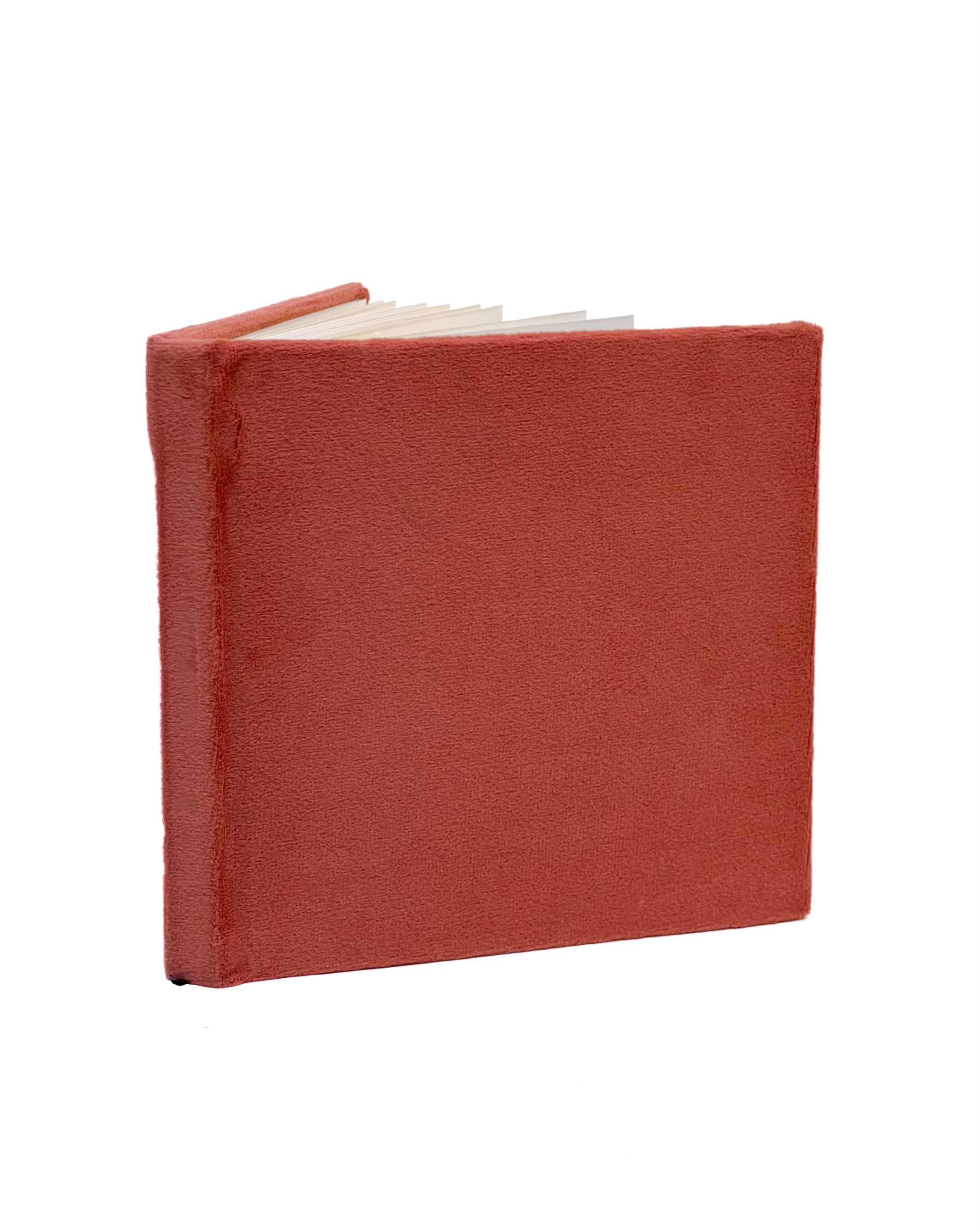 The Velvet Notebook
