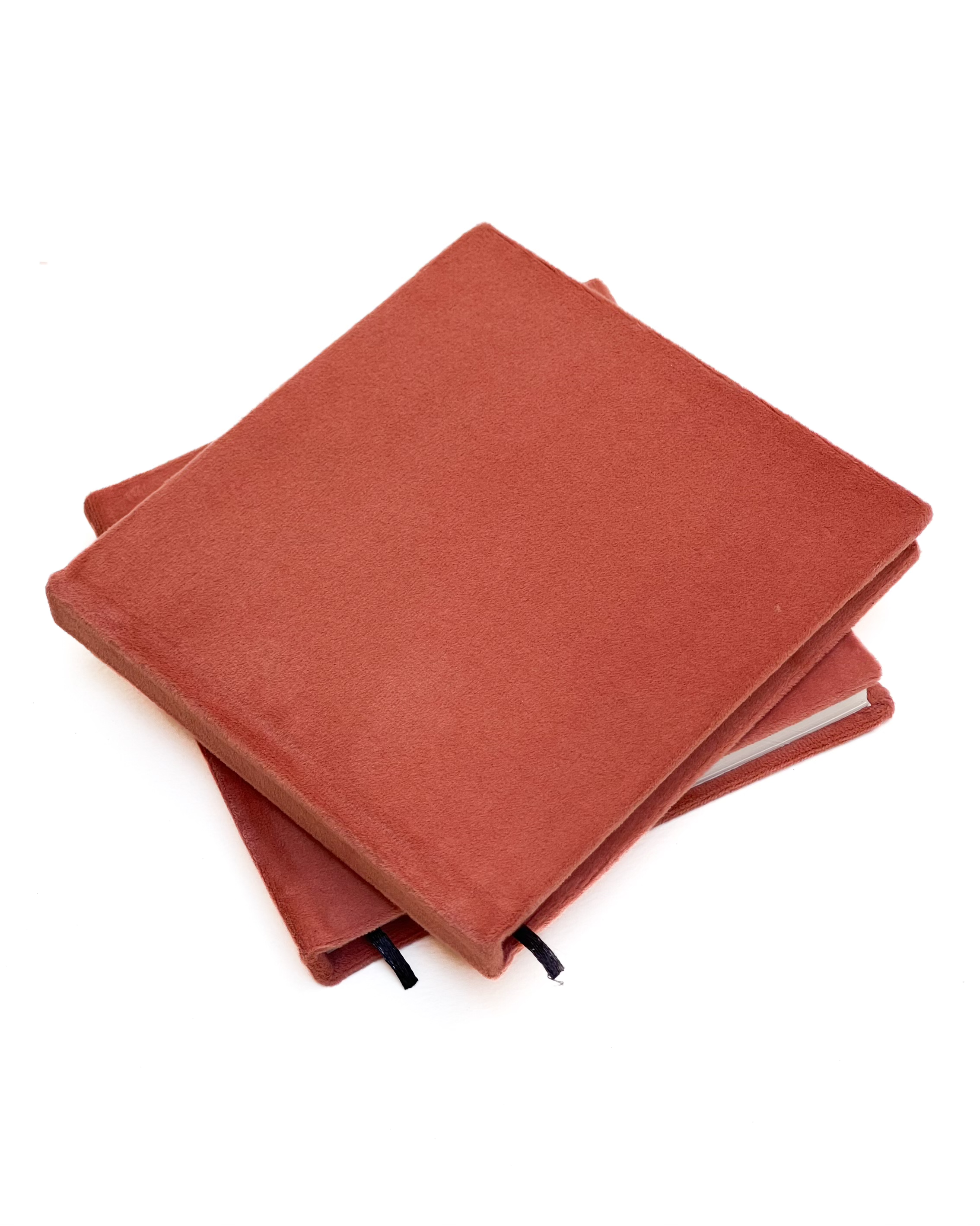 The Velvet Notebook