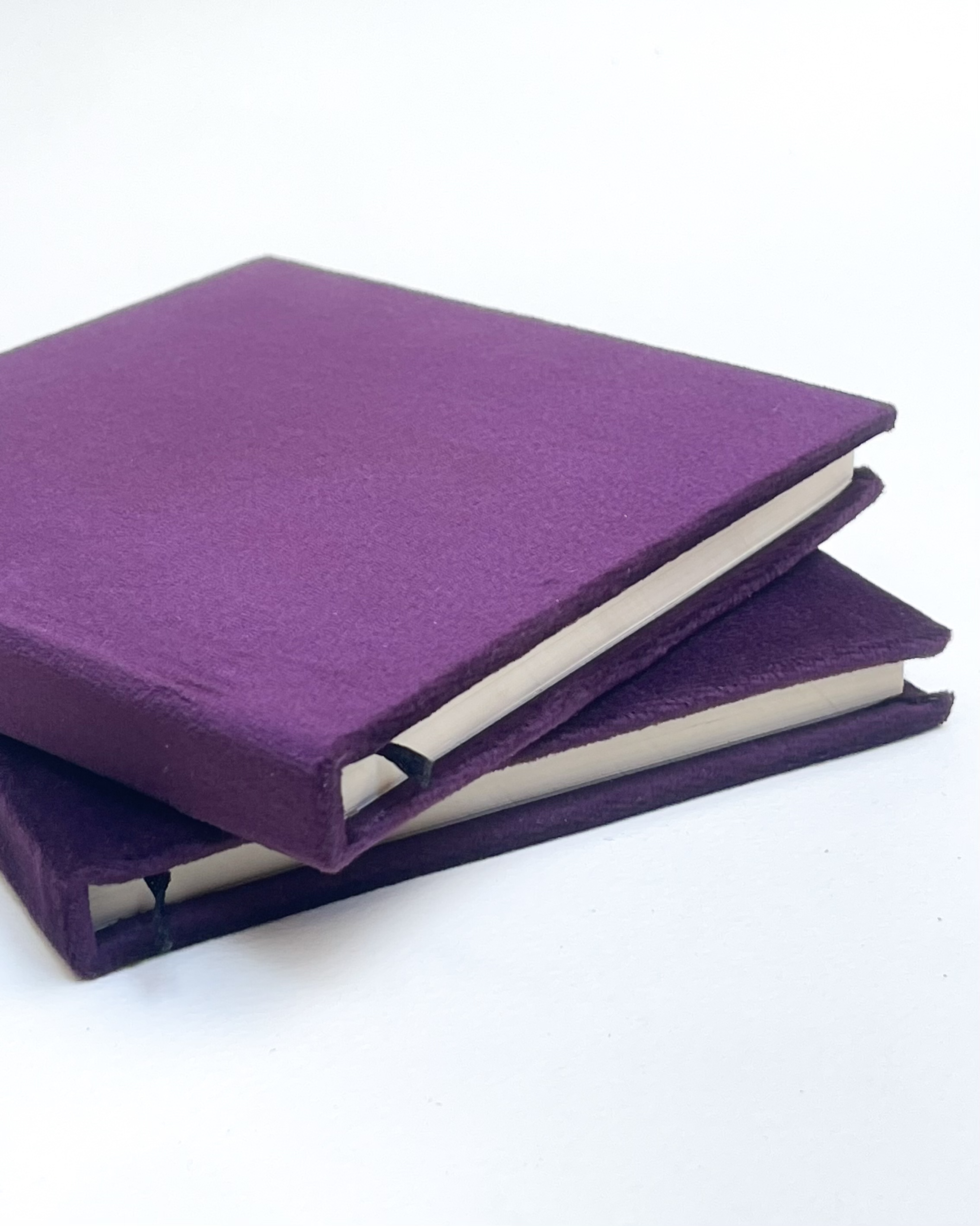 The Velvet Notebook