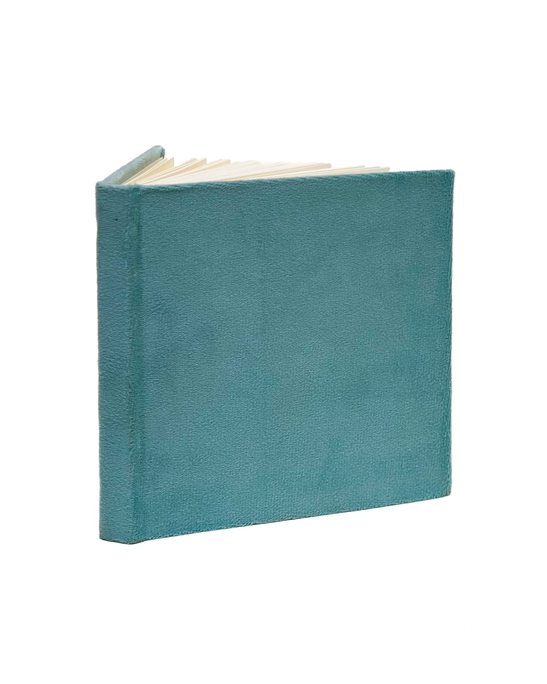 The Velvet Notebook