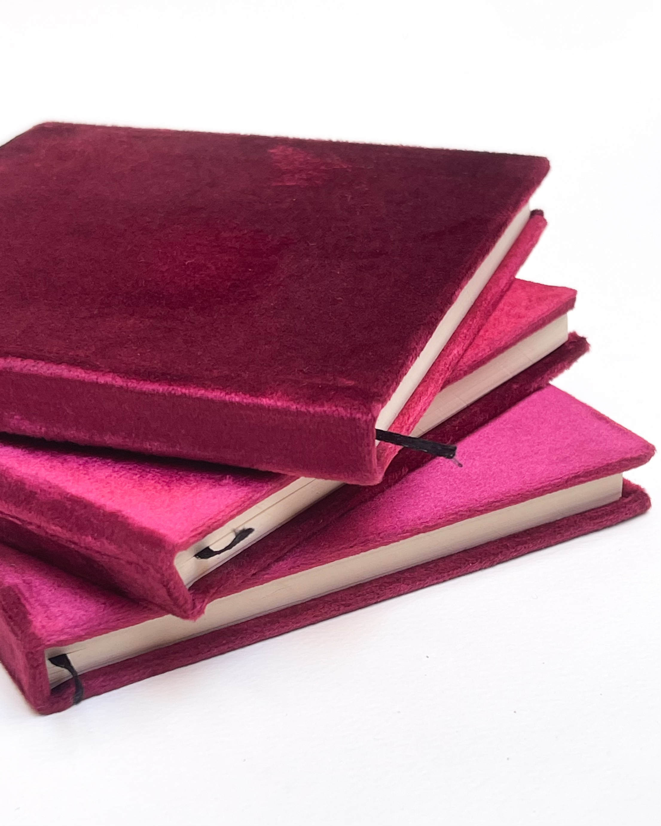 The Velvet Notebook
