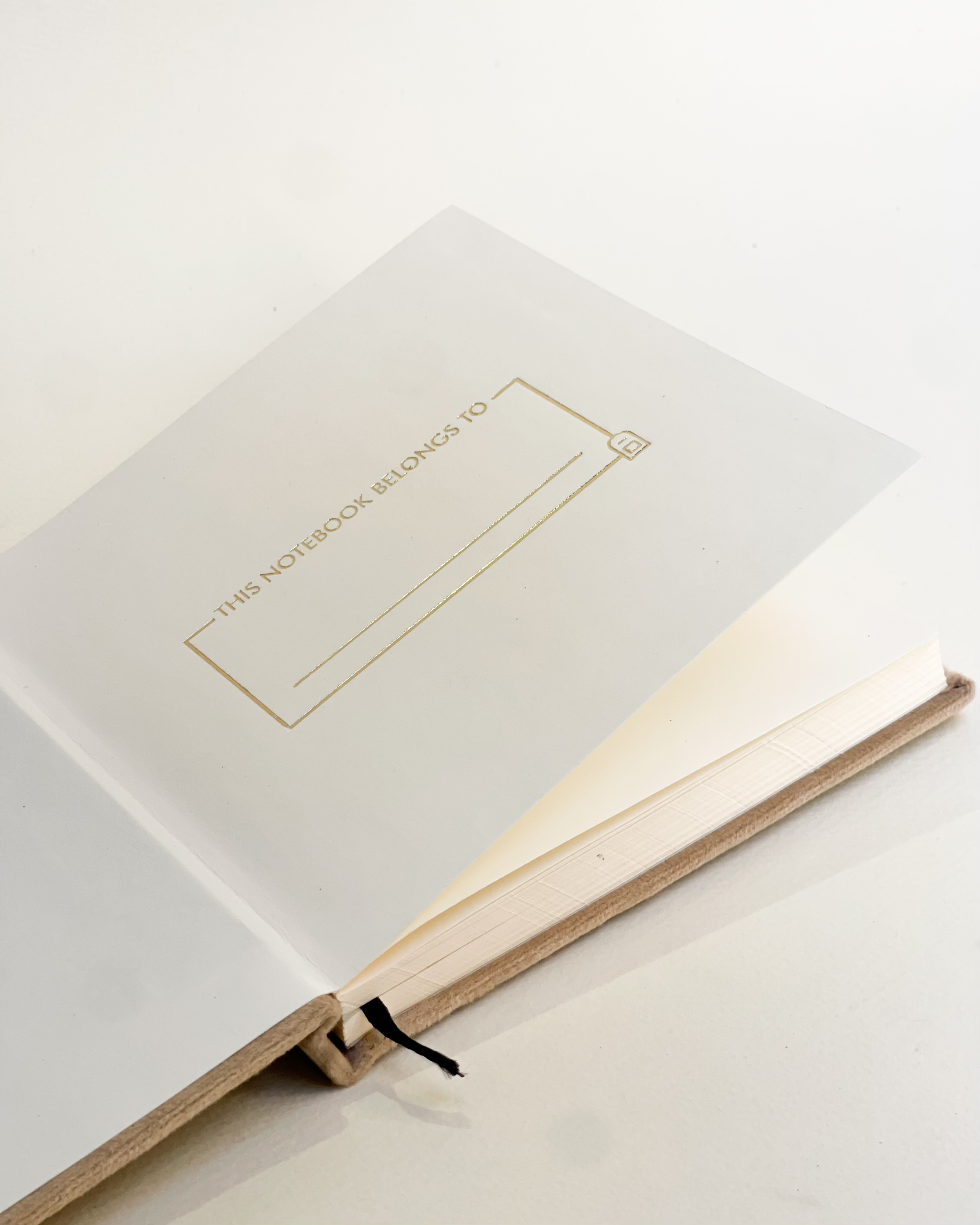 The Velvet Notebook