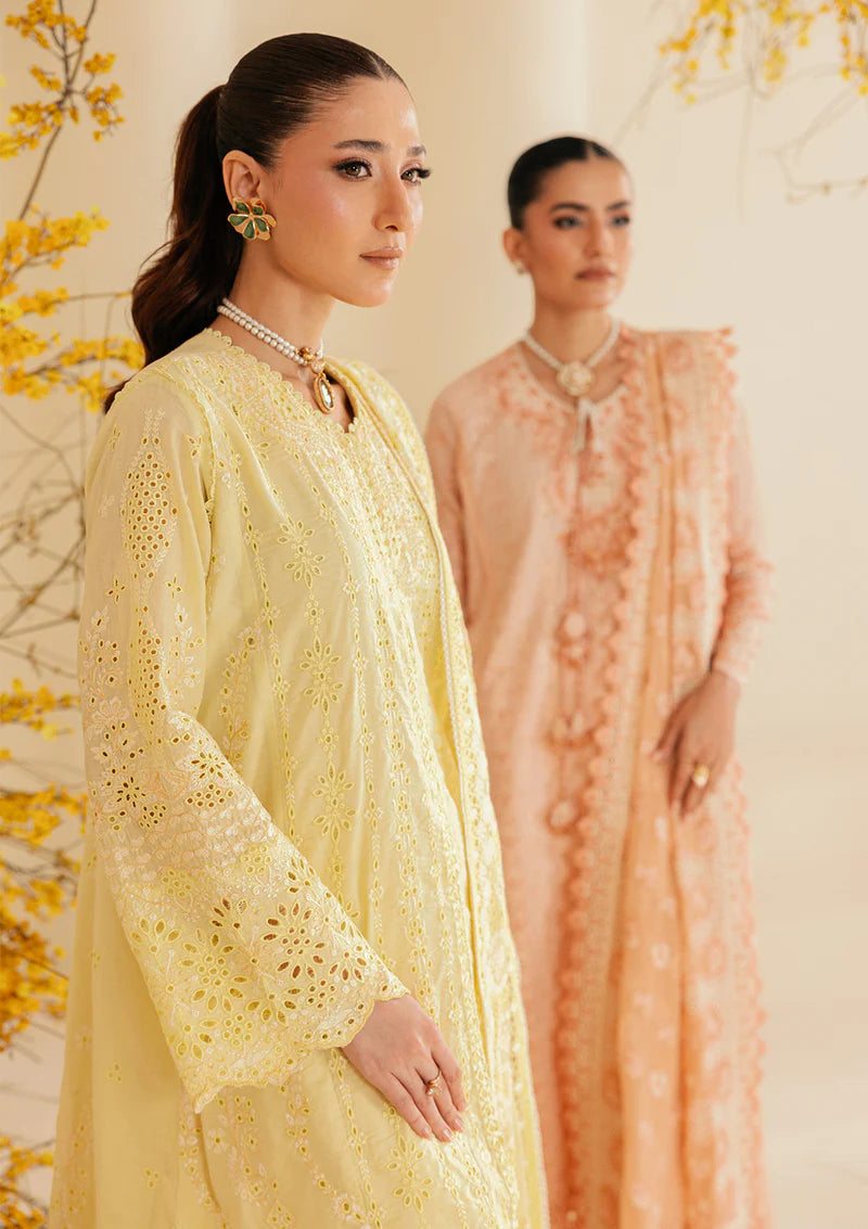03-Piece Lawn Suit With Embroidery | Ready To Wear